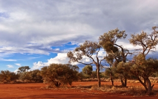 Australia Day