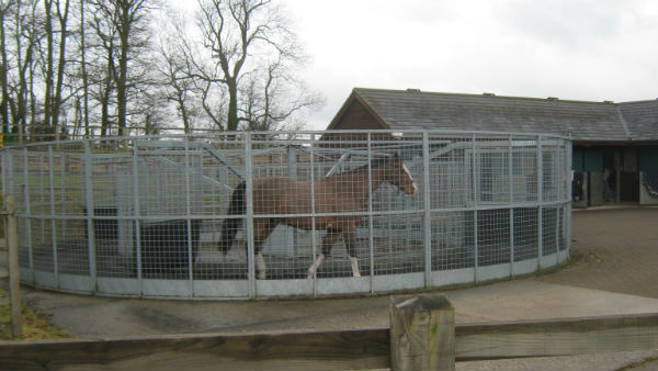 Boreholes For Stables And Race Horses - Dales Water